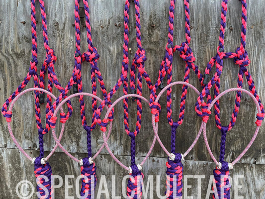 **LIMITED EDITION** Neon Pink & Royal Purple Lariat Halter w/ Very Berry Noseband