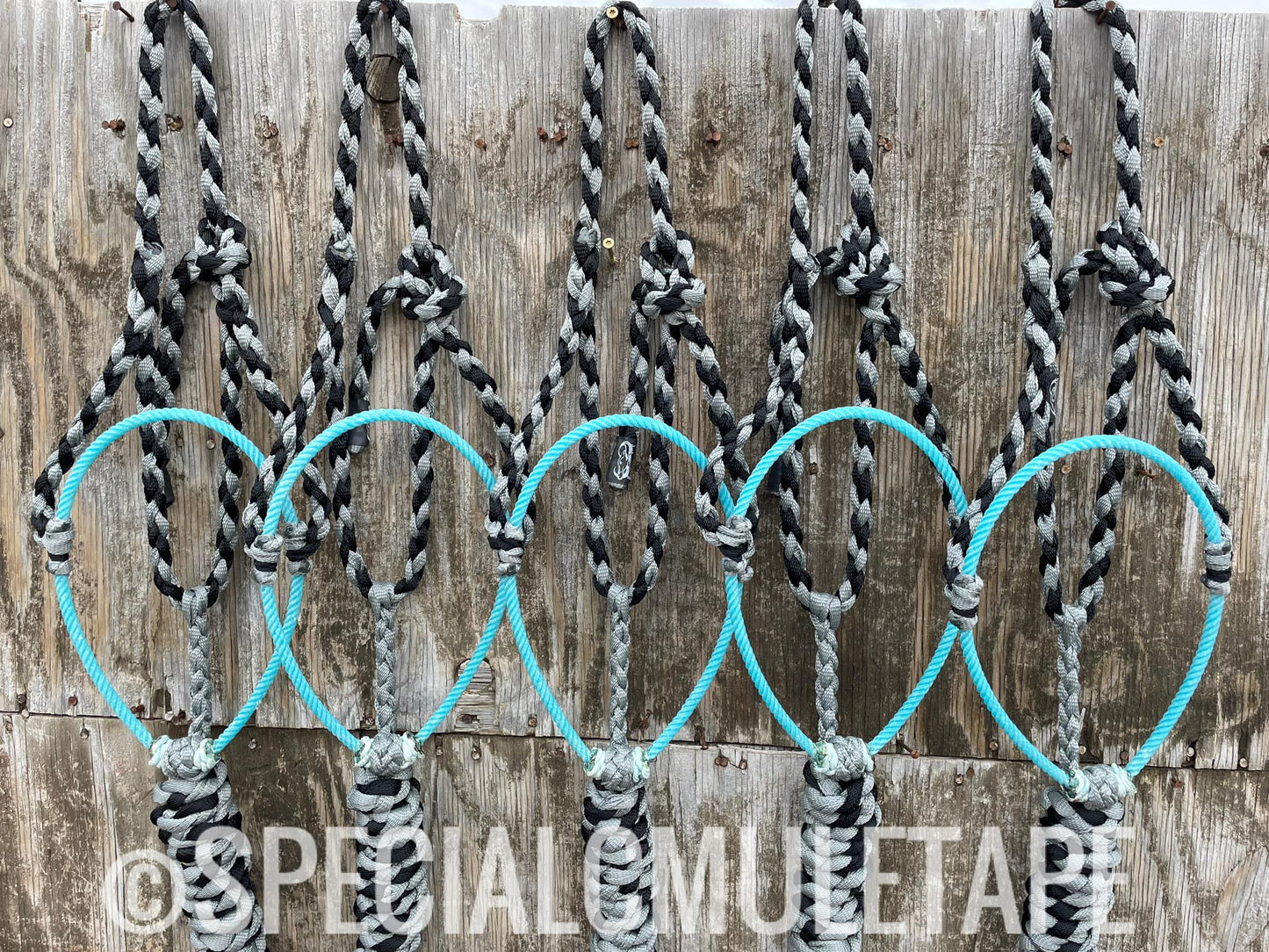 Slate Gray & Black Lariat Halter w/ Turquoise Noseband