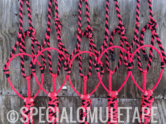 Neon Pink & Black Lariat Halter w/ Neon Pink Noseband