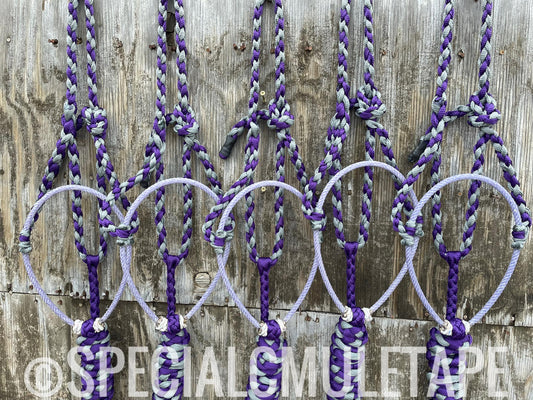 Royal Purple & Slate Gray Lariat Halter w/ Lavendar Noseband