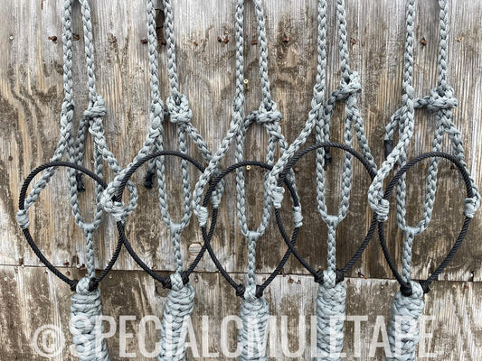 Slate Gray Lariat Halter w/ Black Noseband