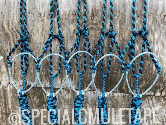 Royal Blue & Black Lariat Halter w/ Mixed Blues Noseband