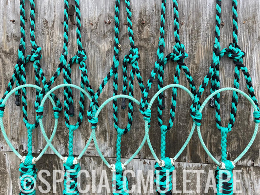 Teal & Black Lariat Halter w/ Teal Noseband