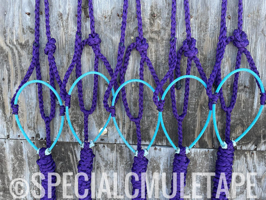 Royal Purple Lariat Halter w/ Turquoise Noseband