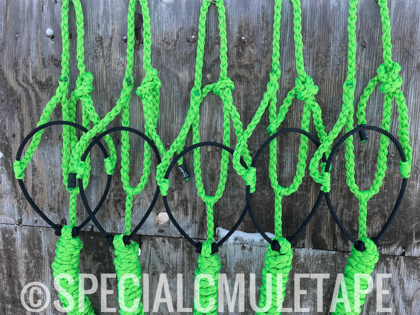 Neon Green Lariat Halter w/ Black Noseband