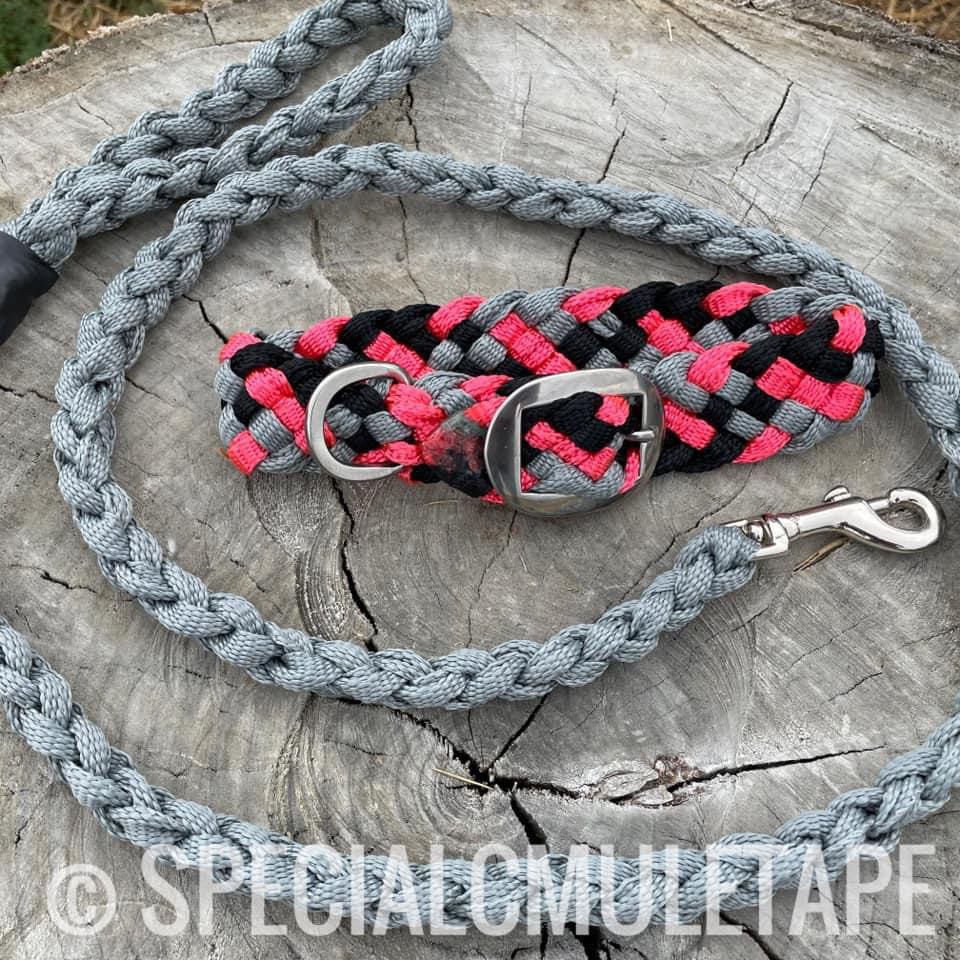 CUSTOM Dog Collar