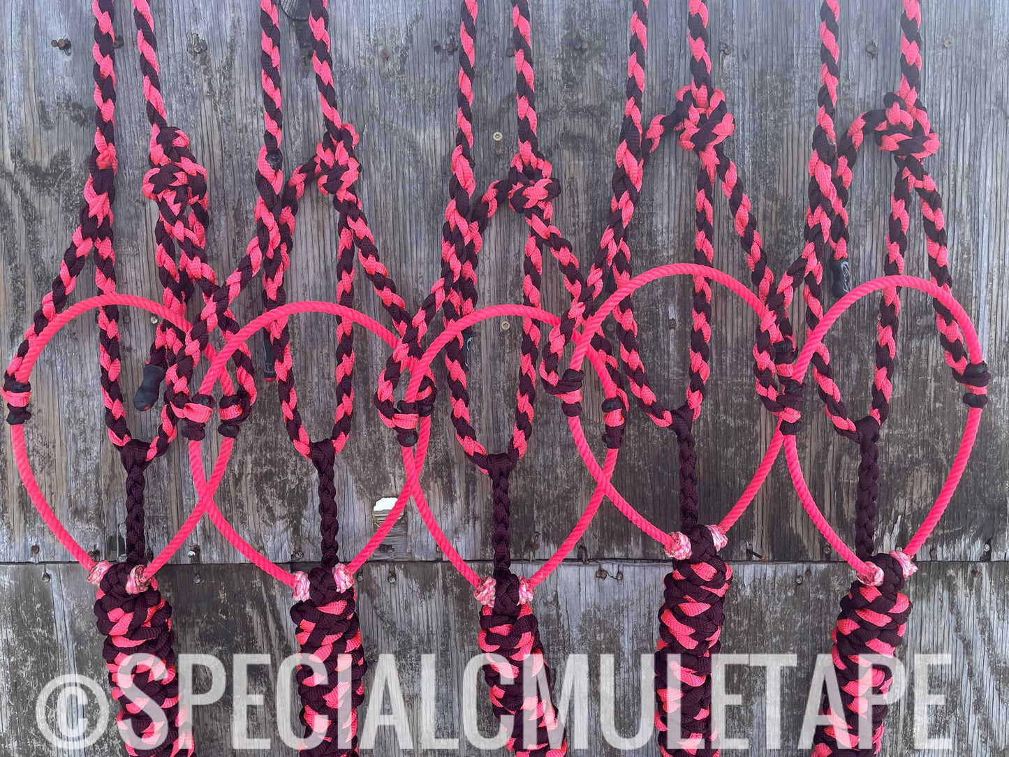 Burgundy & Neon Pink Lariat Halter w/ Neon Pink Noseband