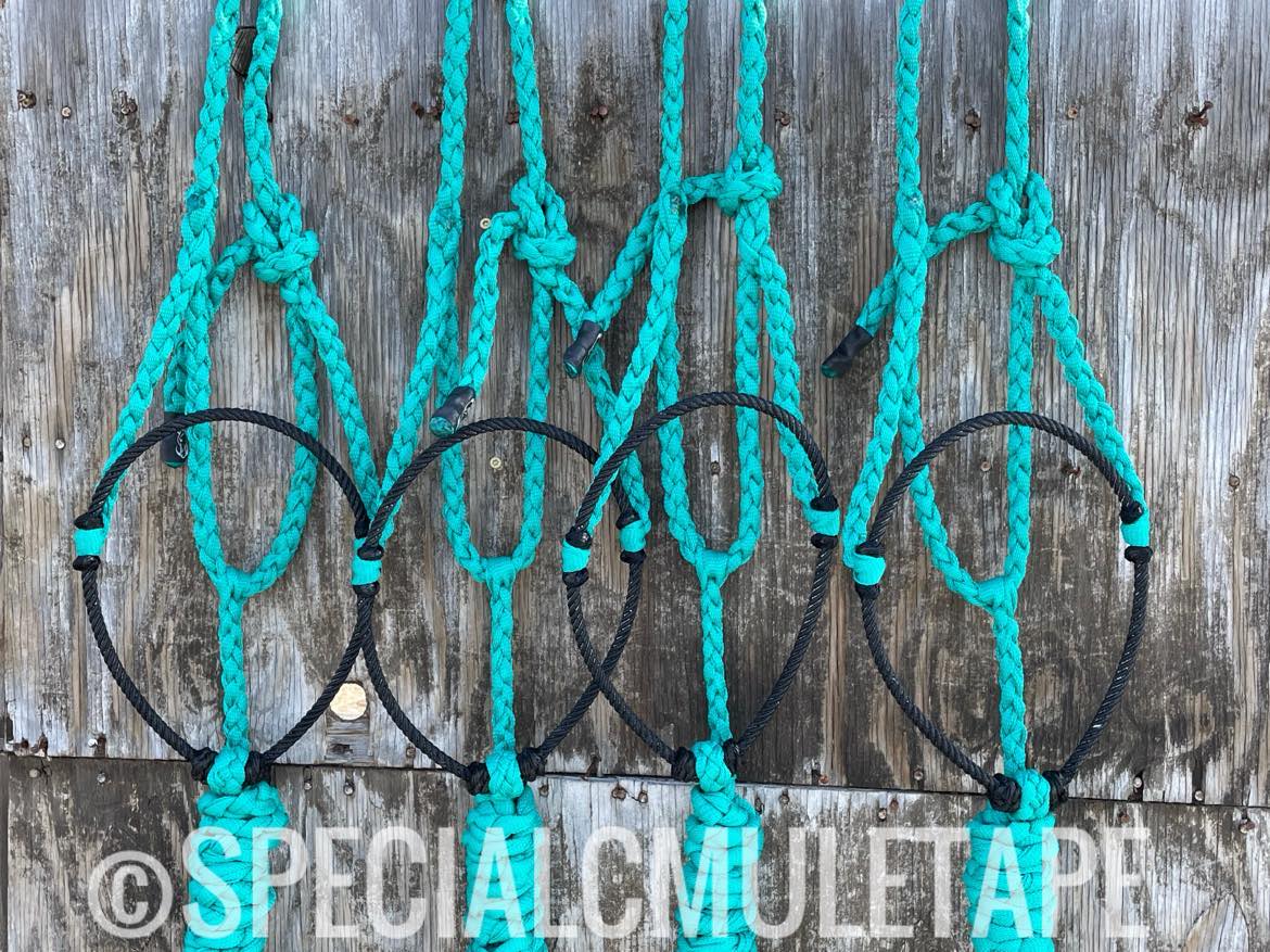 Teal Lariat Halter w/ Black Noseband