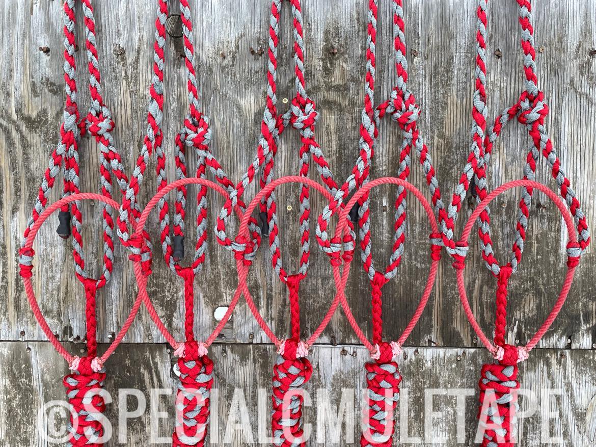 Red & Slate Gray Lariat Halter w/ Red Noseband