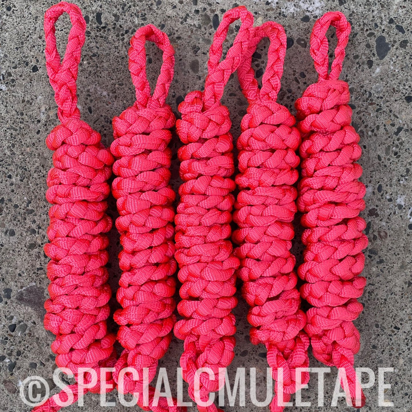 Neon Pink 8' Leadrope