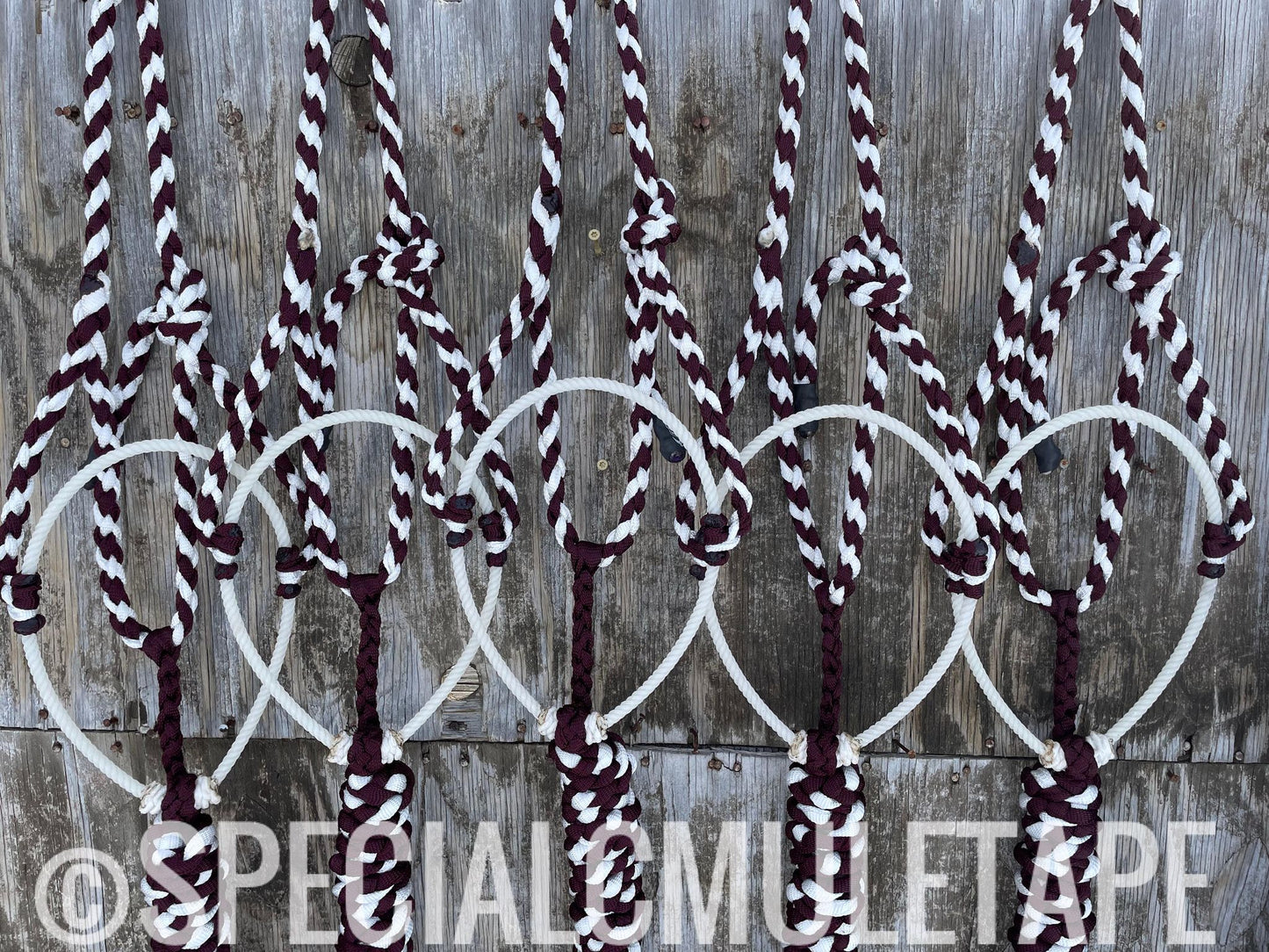 Burgundy & White Lariat Halter