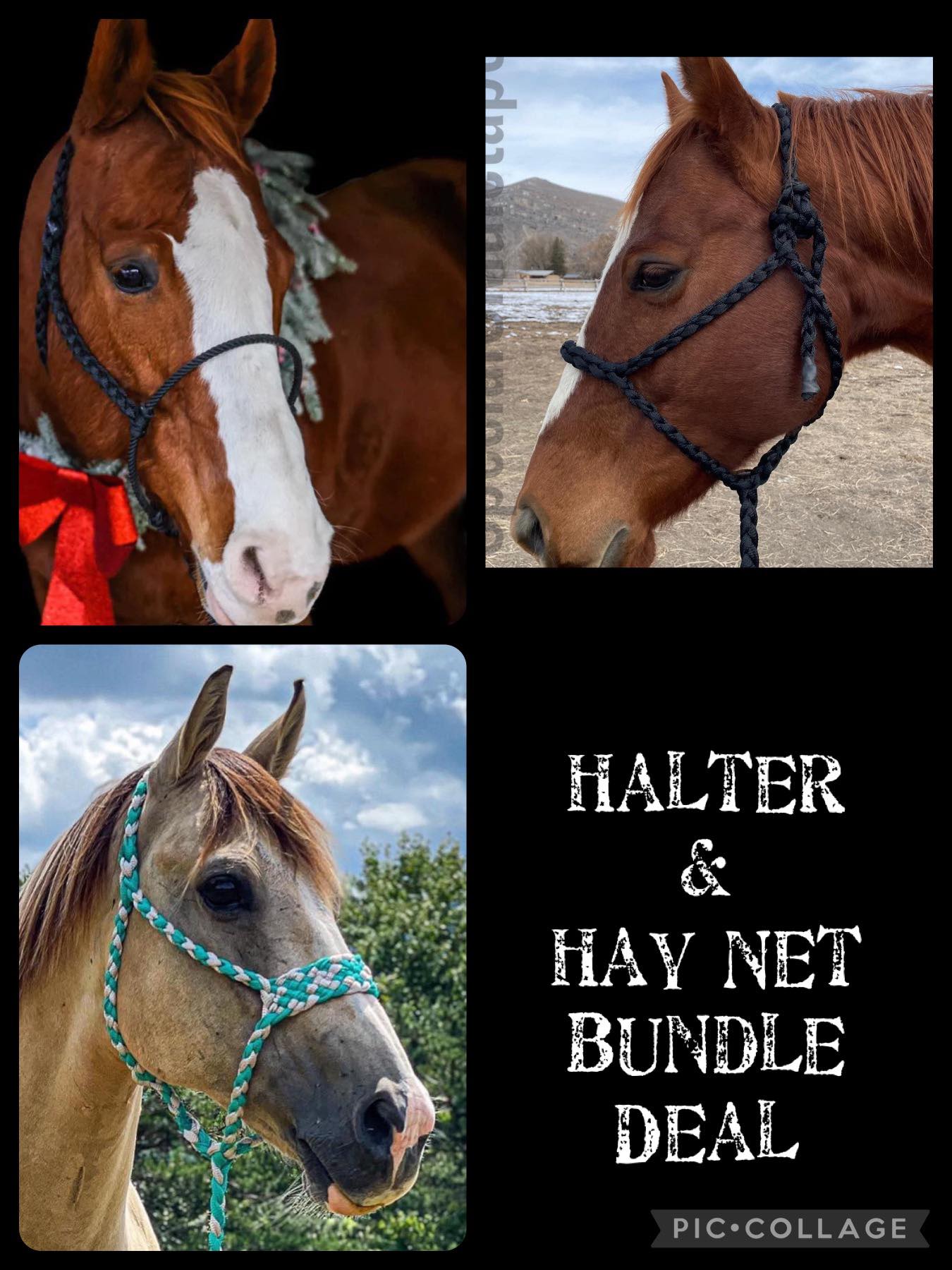 Halter & Hay Chix Net Bundle Deal