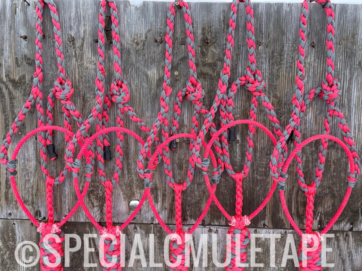 Neon Pink & Slate Gray Lariat Halter w/ Neon Pink Noseband