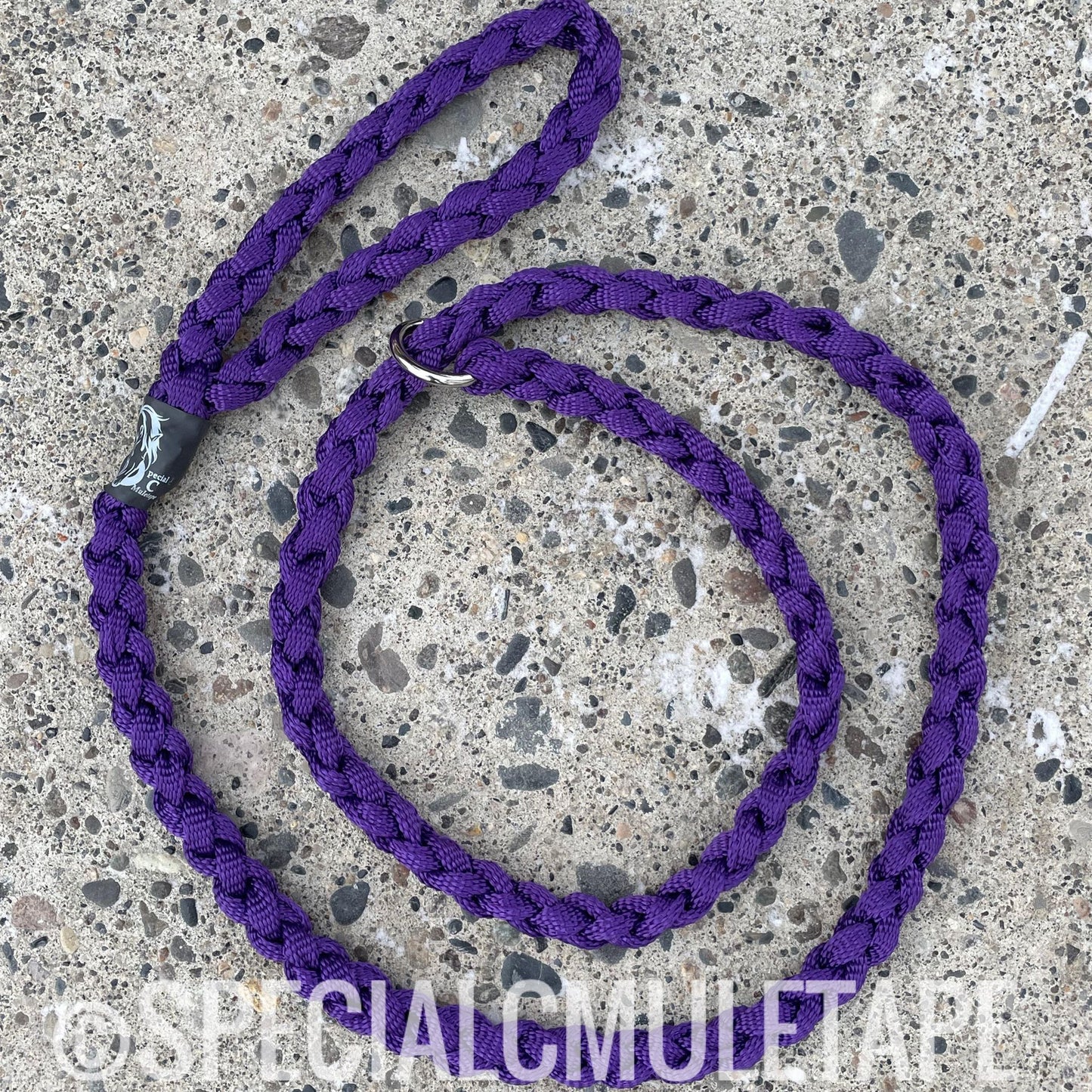 6' Royal Purple Slip Leash