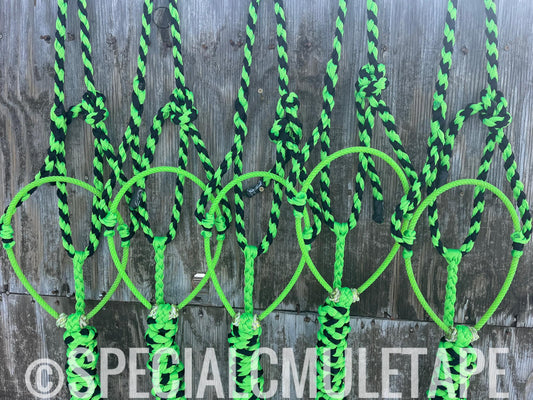 Neon Green & Black Lariat Halter w/ Neon Green Noseband