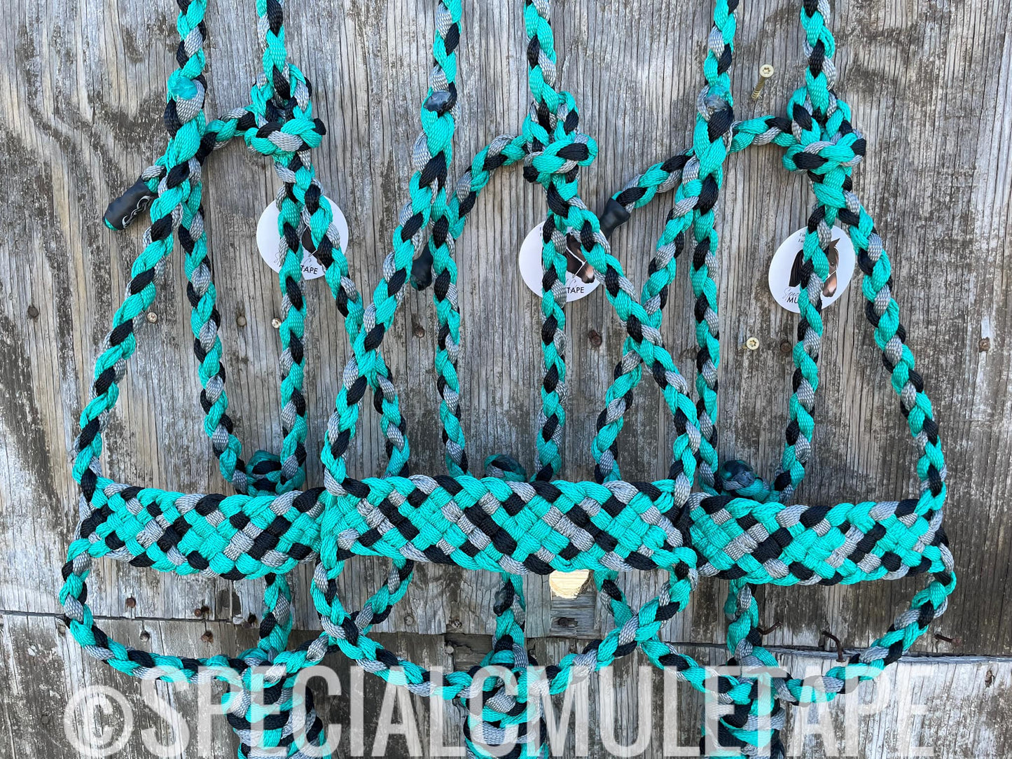 CUSTOM Teal/Black/Slate Brute (Easy Order)