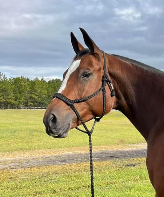 CUSTOM Original Style Halter