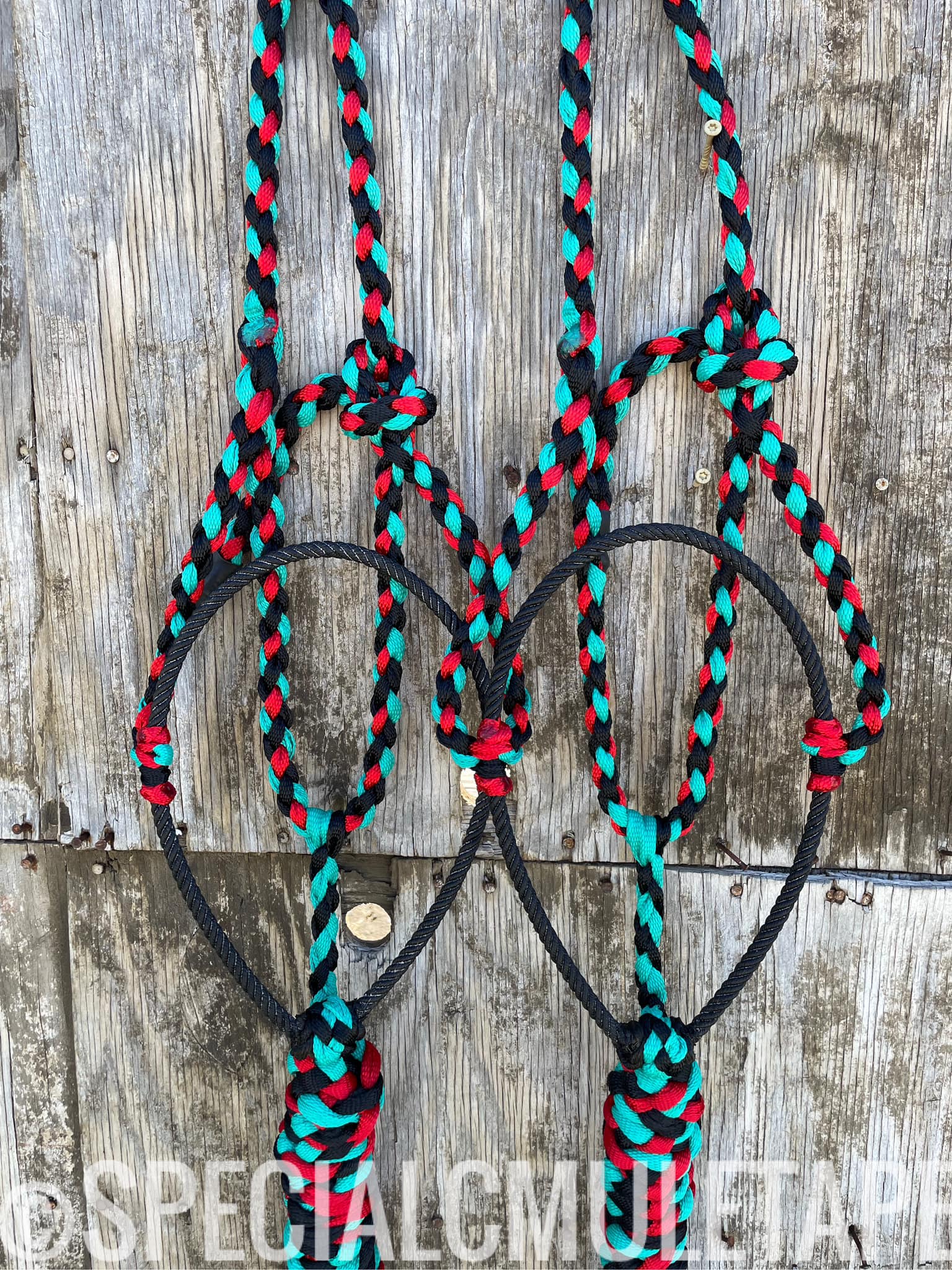 CUSTOM Three Color Lariat Halters – Special C Muletape