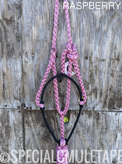 Hand Dyed Lariat Halters