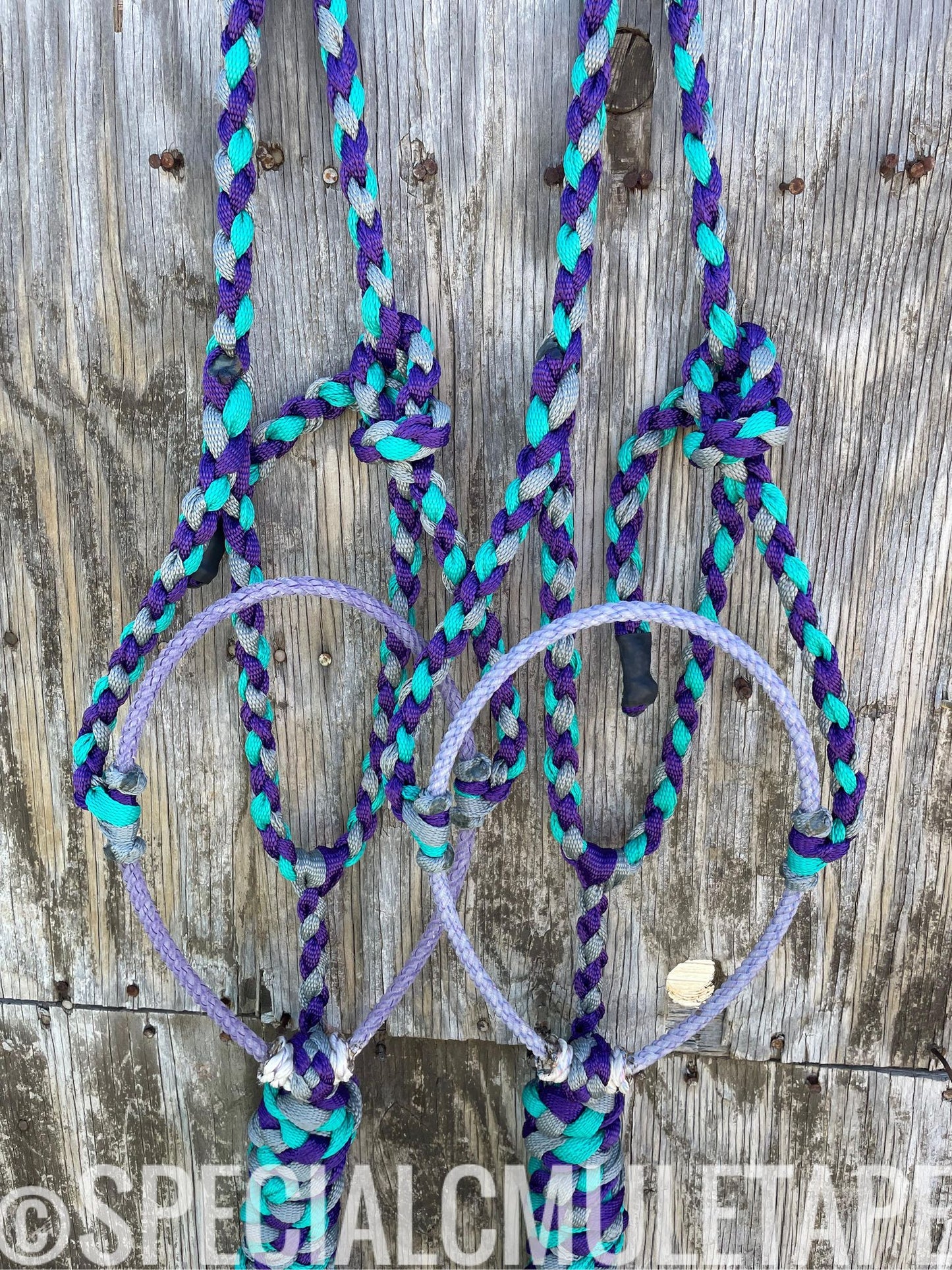 Royal Purple, Slate and Teal Lariat Halter