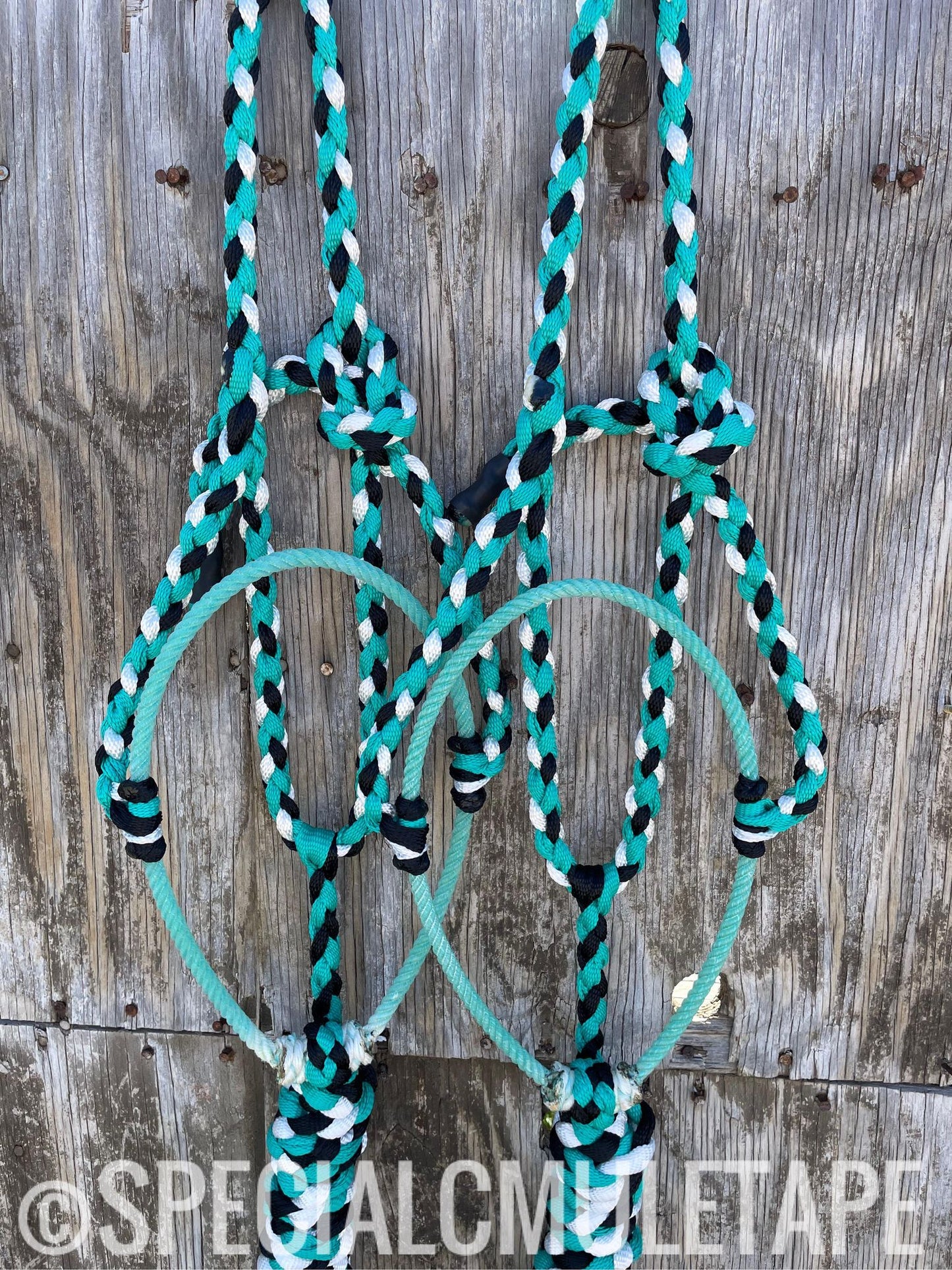 Teal, Black and White Lariat Halter