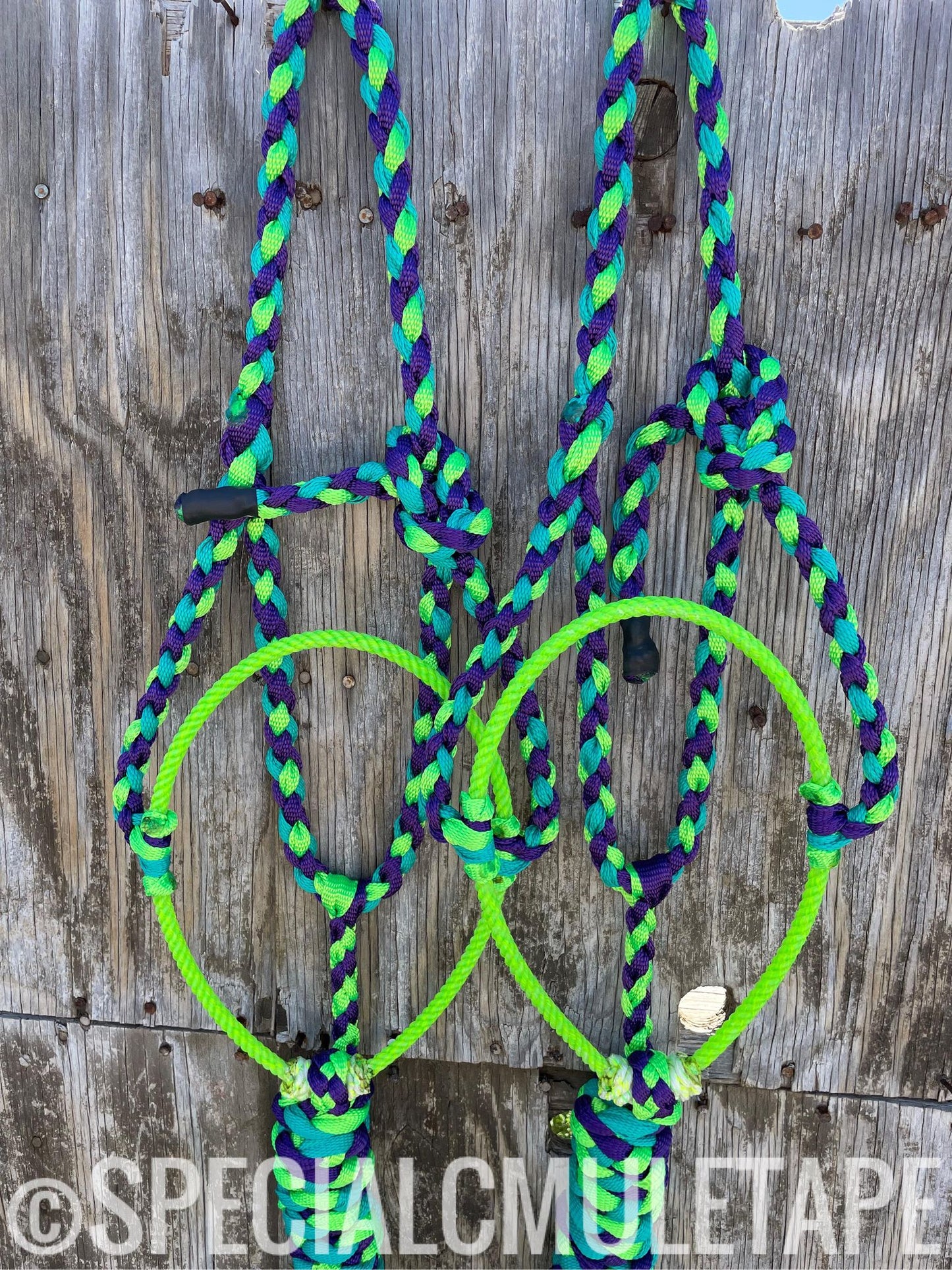 Teal, Neon Green and Royal Purple Lariat Halter