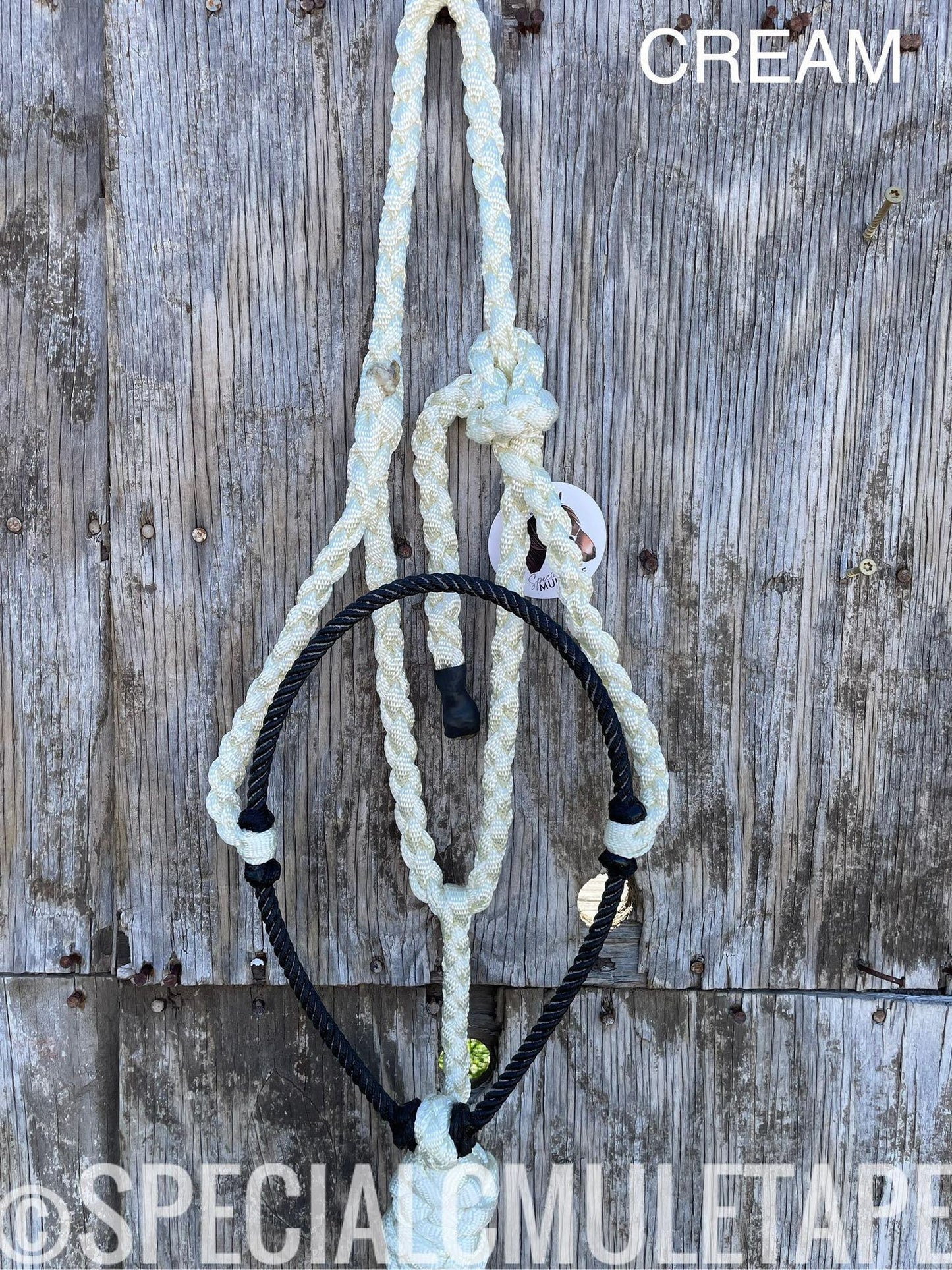 Hand Dyed Lariat Halters