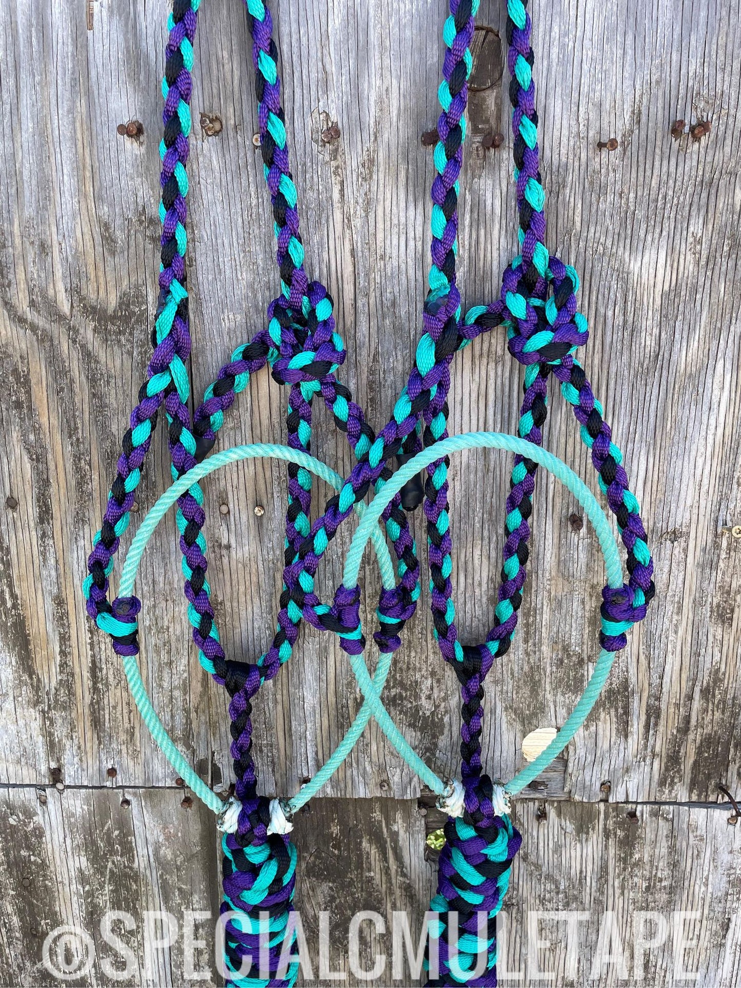 Royal Purple, Black and Teal Lariat Halter