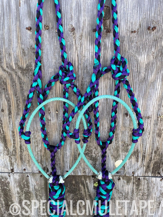 Royal Purple, Black and Teal Lariat Halter