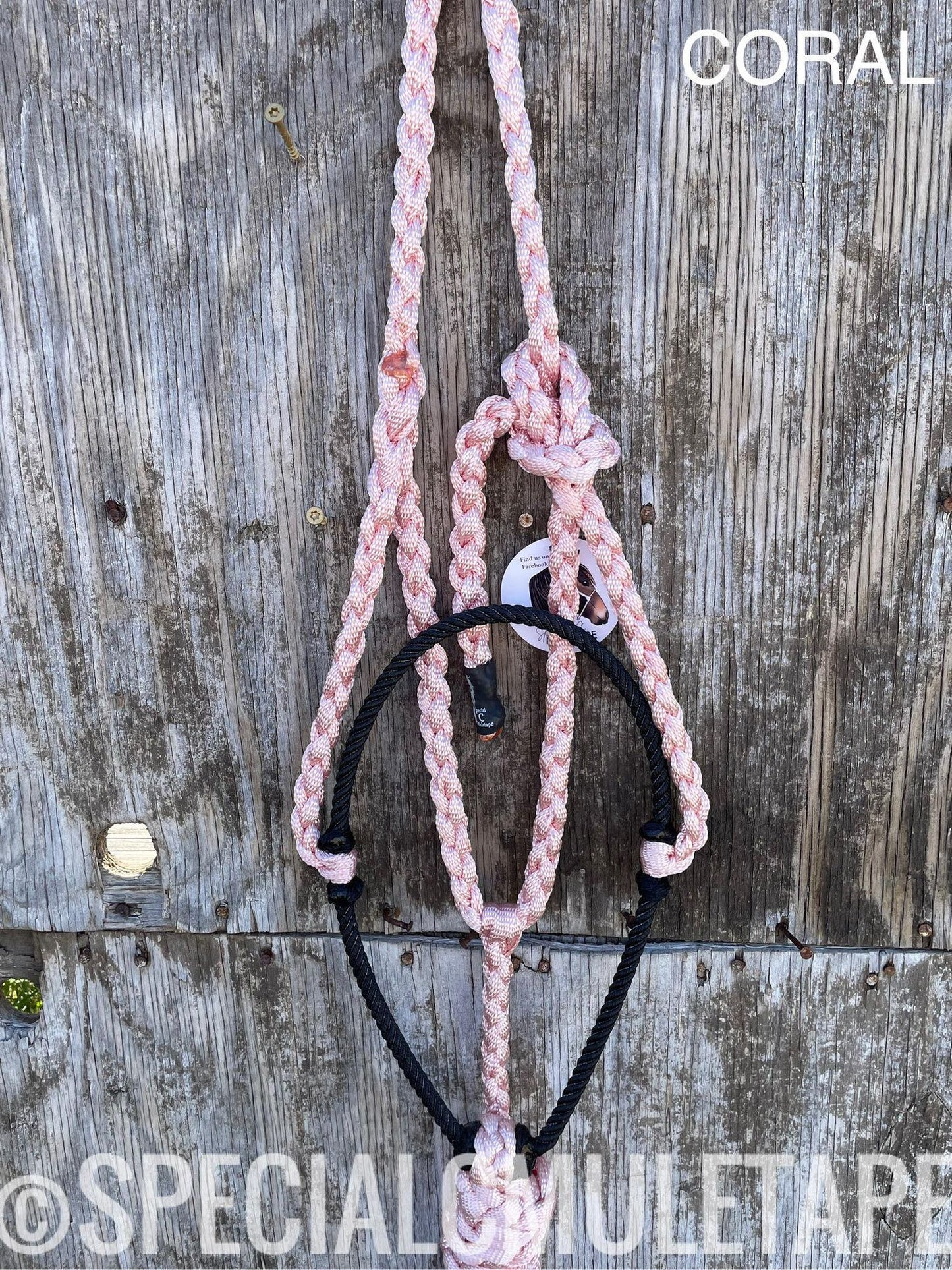 Hand Dyed Lariat Halters