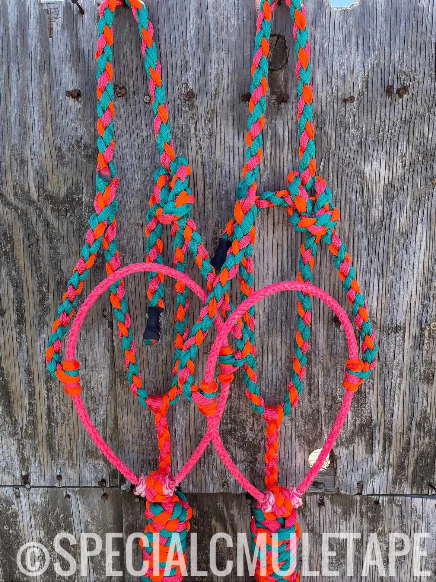 Teal, Neon Orange and Neon Pink Lariat Halter