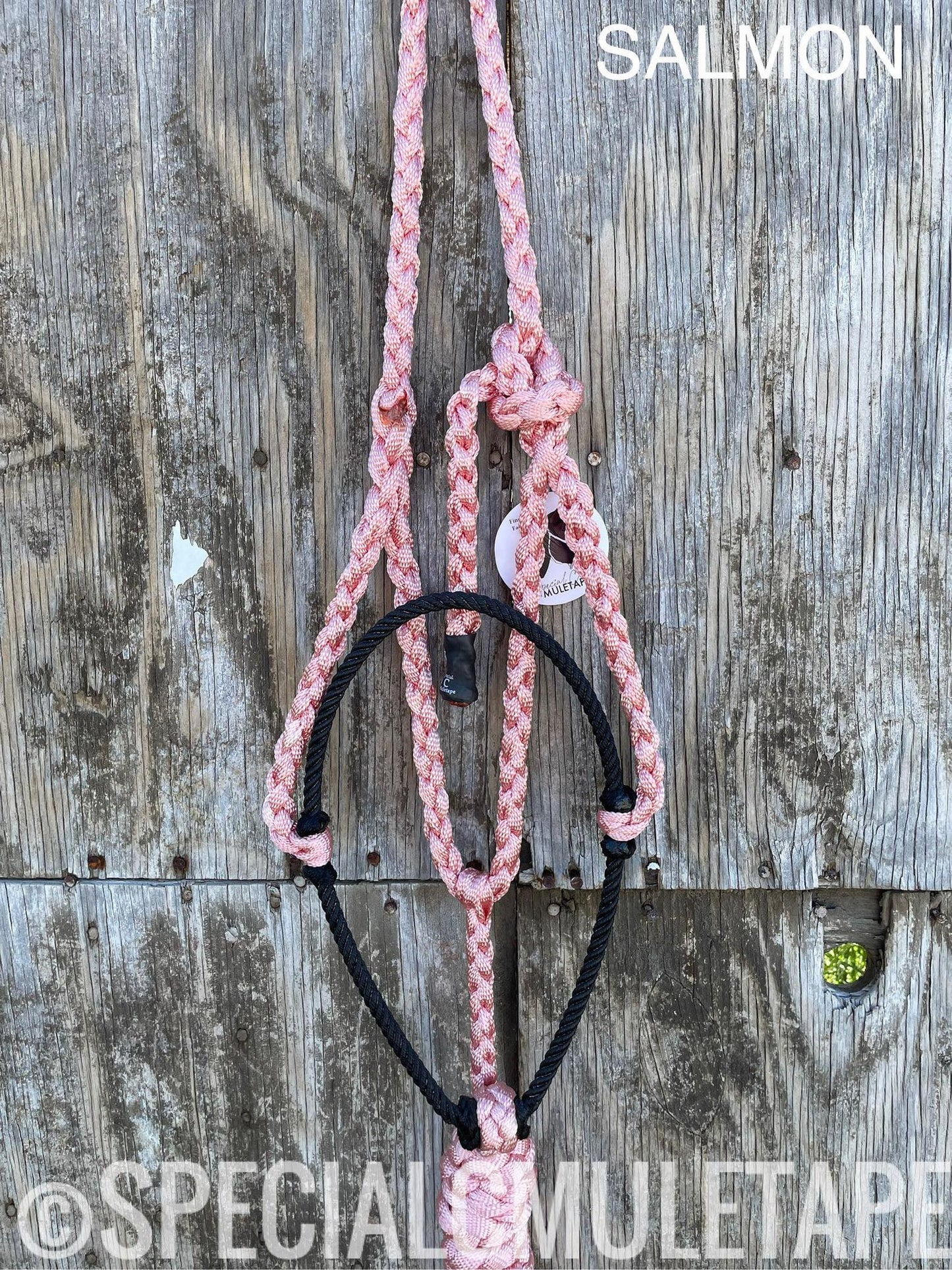 Hand Dyed Lariat Halters