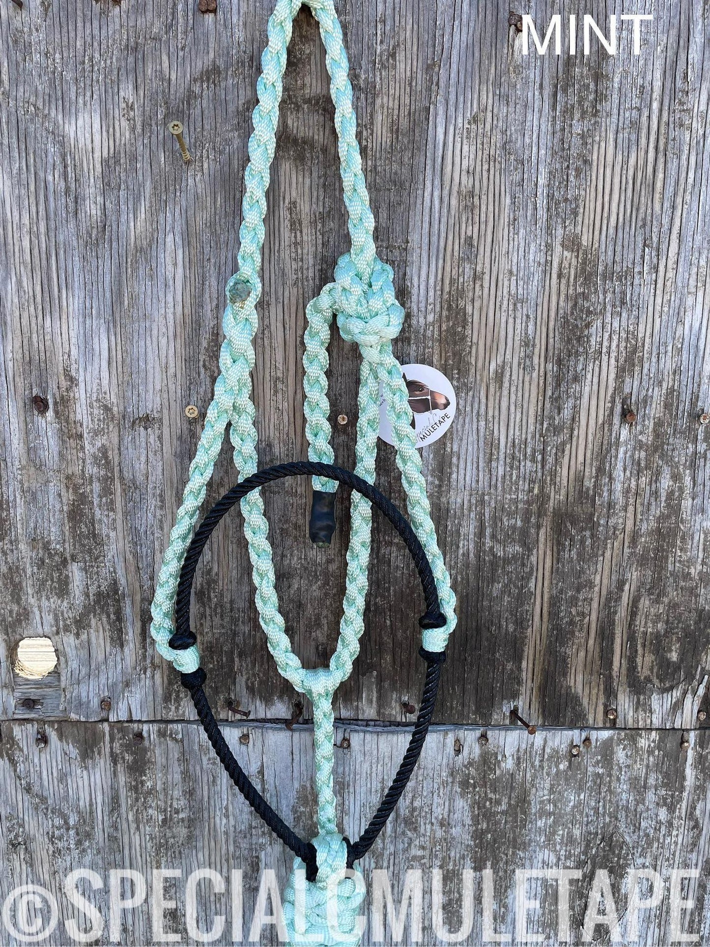 Hand Dyed Lariat Halters