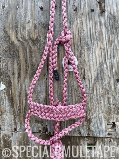 Hand Dyed Brute Halters