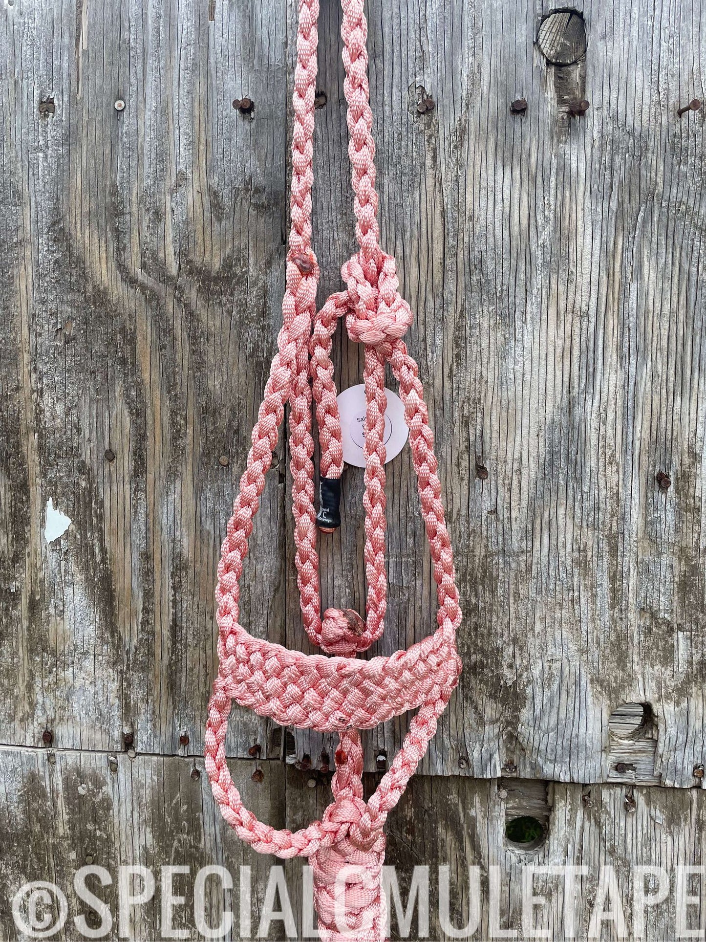 Hand Dyed Brute Halters