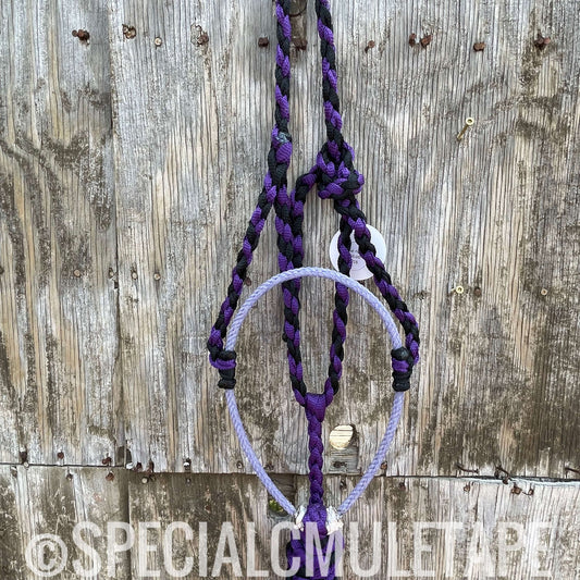 Royal Purple and Black Lariat