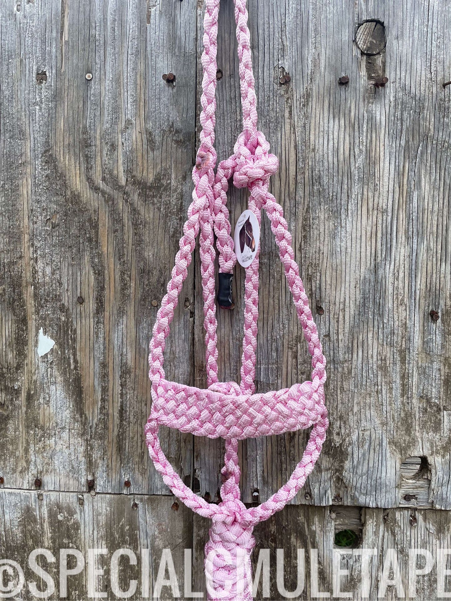 Hand Dyed Brute Halters