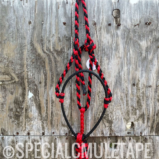 Black & Red Lariat Halter w/ Black Noseband