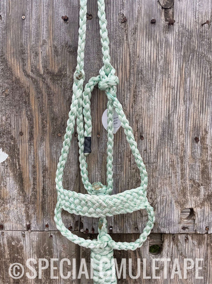 Hand Dyed Brute Halters