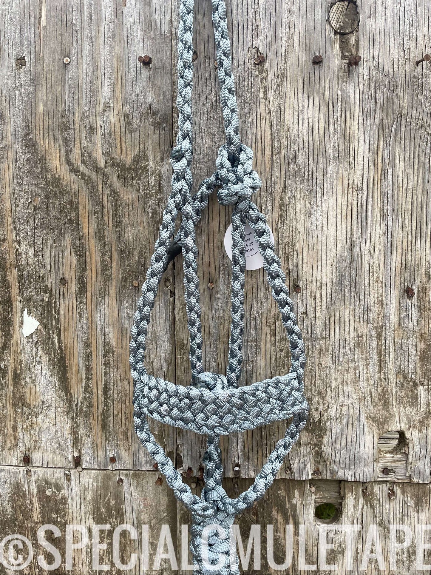 Hand Dyed Brute Halters