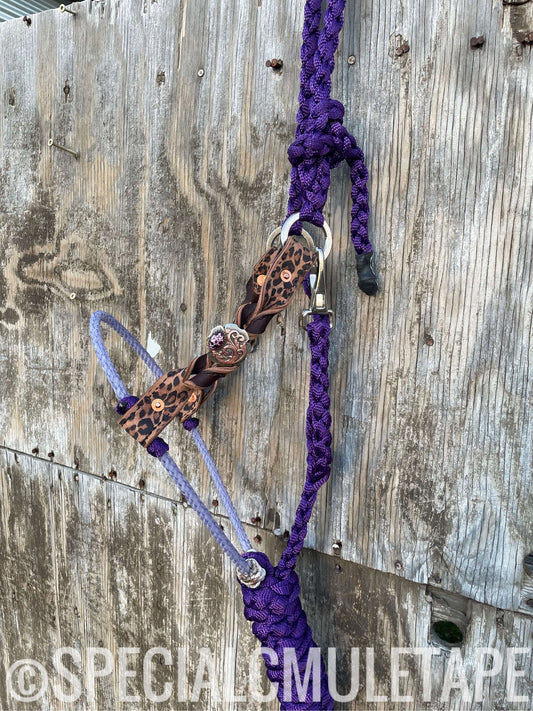 Royal Purple Lariat Hybrid w/ Devine Leather Cheeks