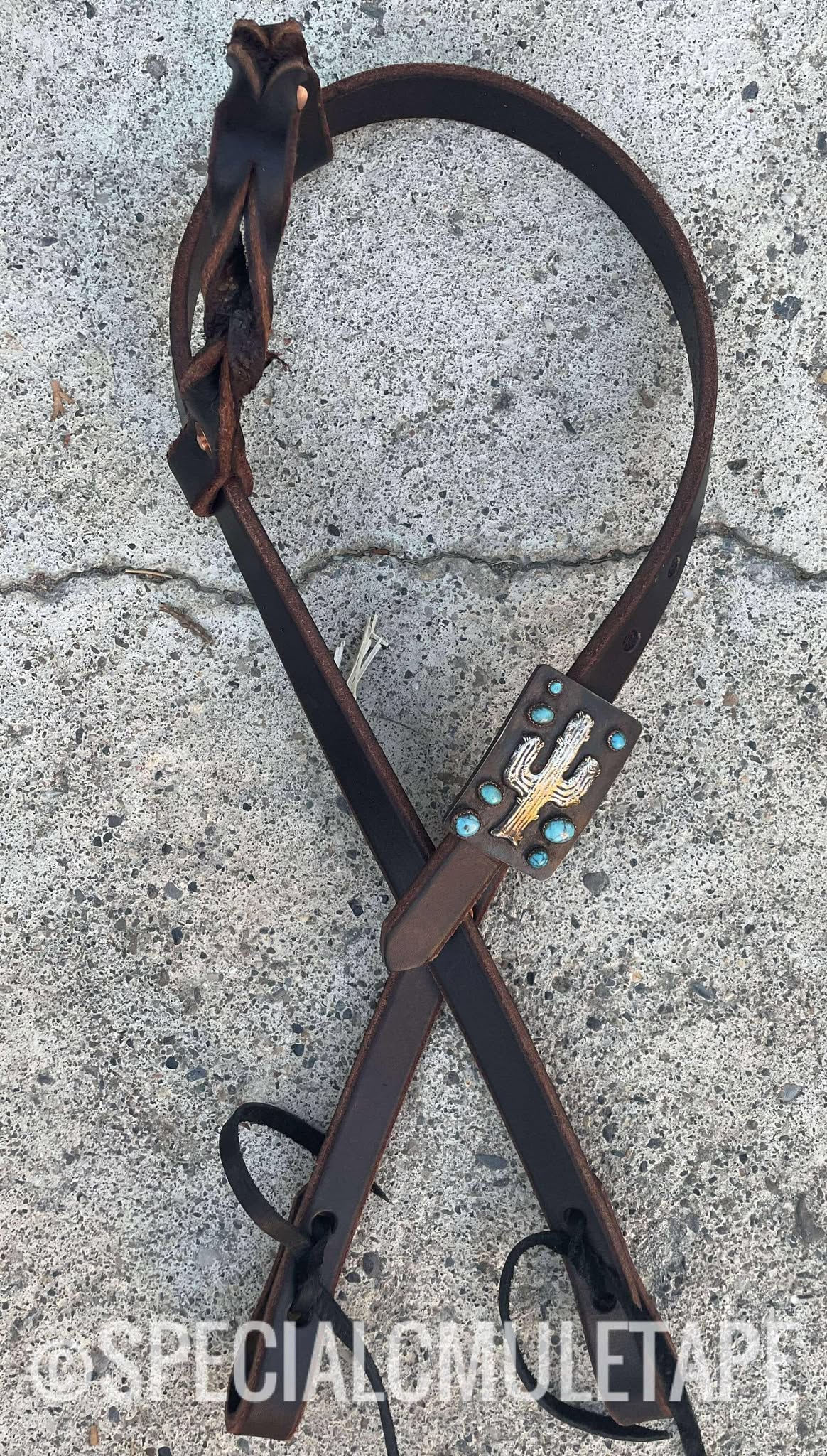 Cactus Mad Cow Leather Headstall