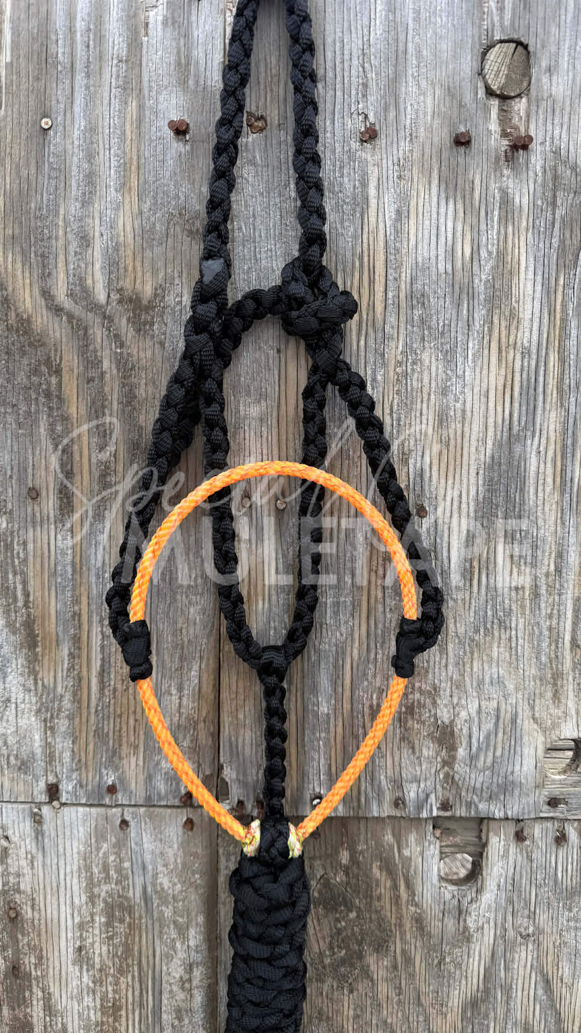 Color Pop Lariat Halter Collection