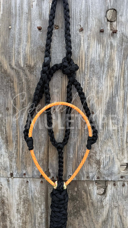 Color Pop Lariat Halter Collection