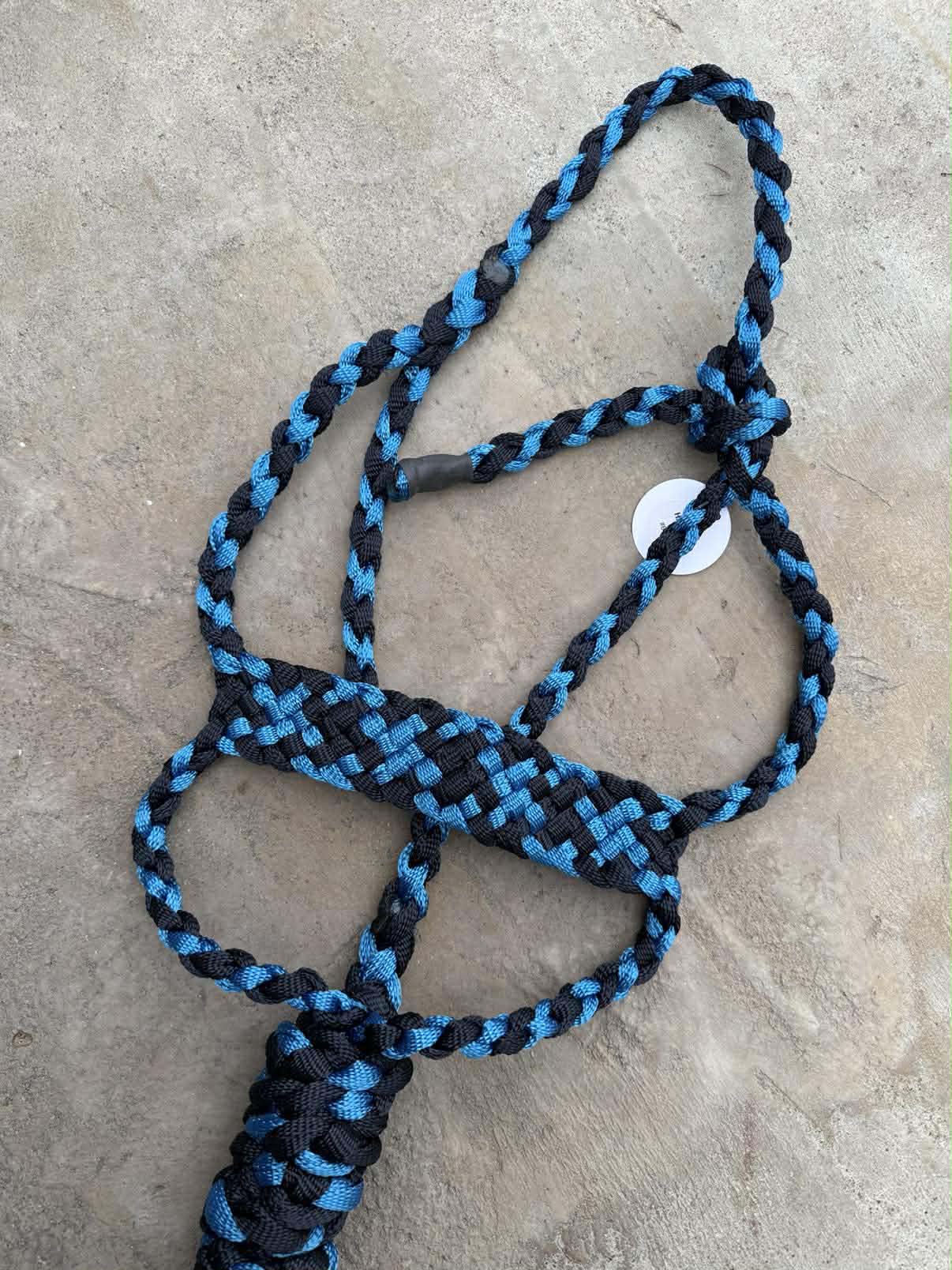 Royal Blue & Navy Brute