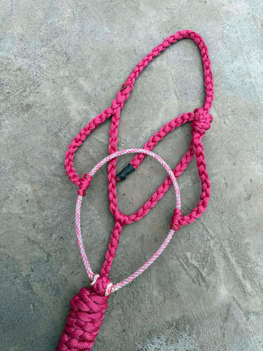 Fuchsia Lariat w/ Funky Noseband