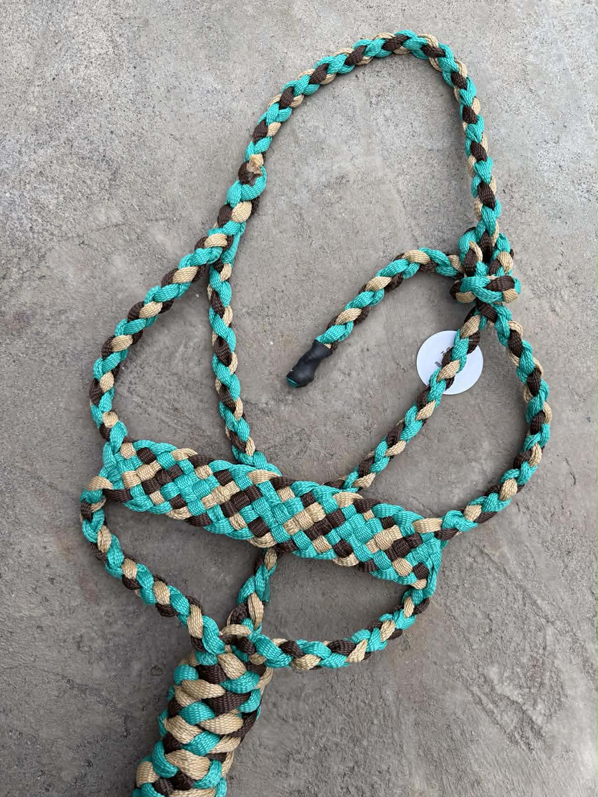 Teal, Chocolate & Sand Brute