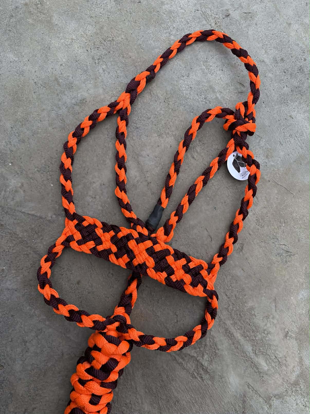 Neon Orange & Burgundy Brute