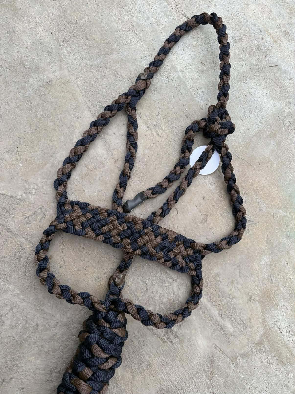 Navy & Chocolate Brute