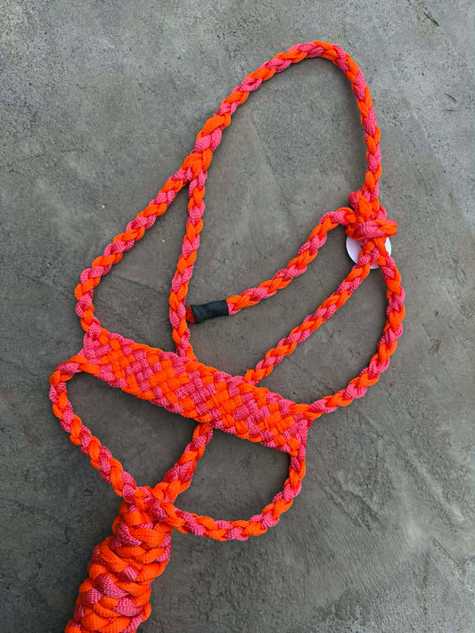 Neon Pink & Neon Orange Brute